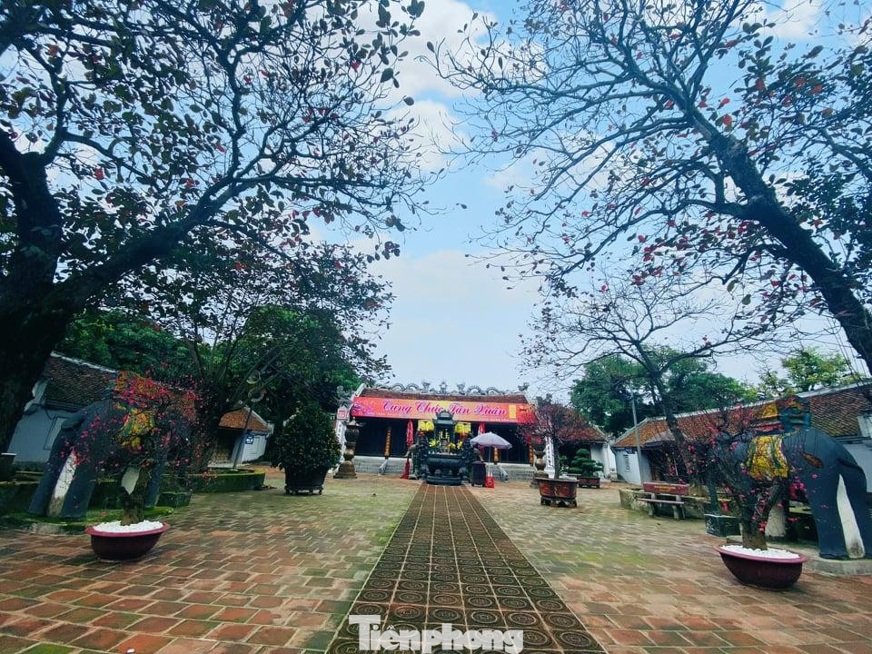 Nghi lễ khai ấn được tổ chức nội bộ, sau khi đóng cửa đền Trần - Ảnh: Hoàng Long Nghi lễ khai ấn được tổ chức nội bộ, sau khi đóng cửa đền Trần - Ảnh: Hoàng Long