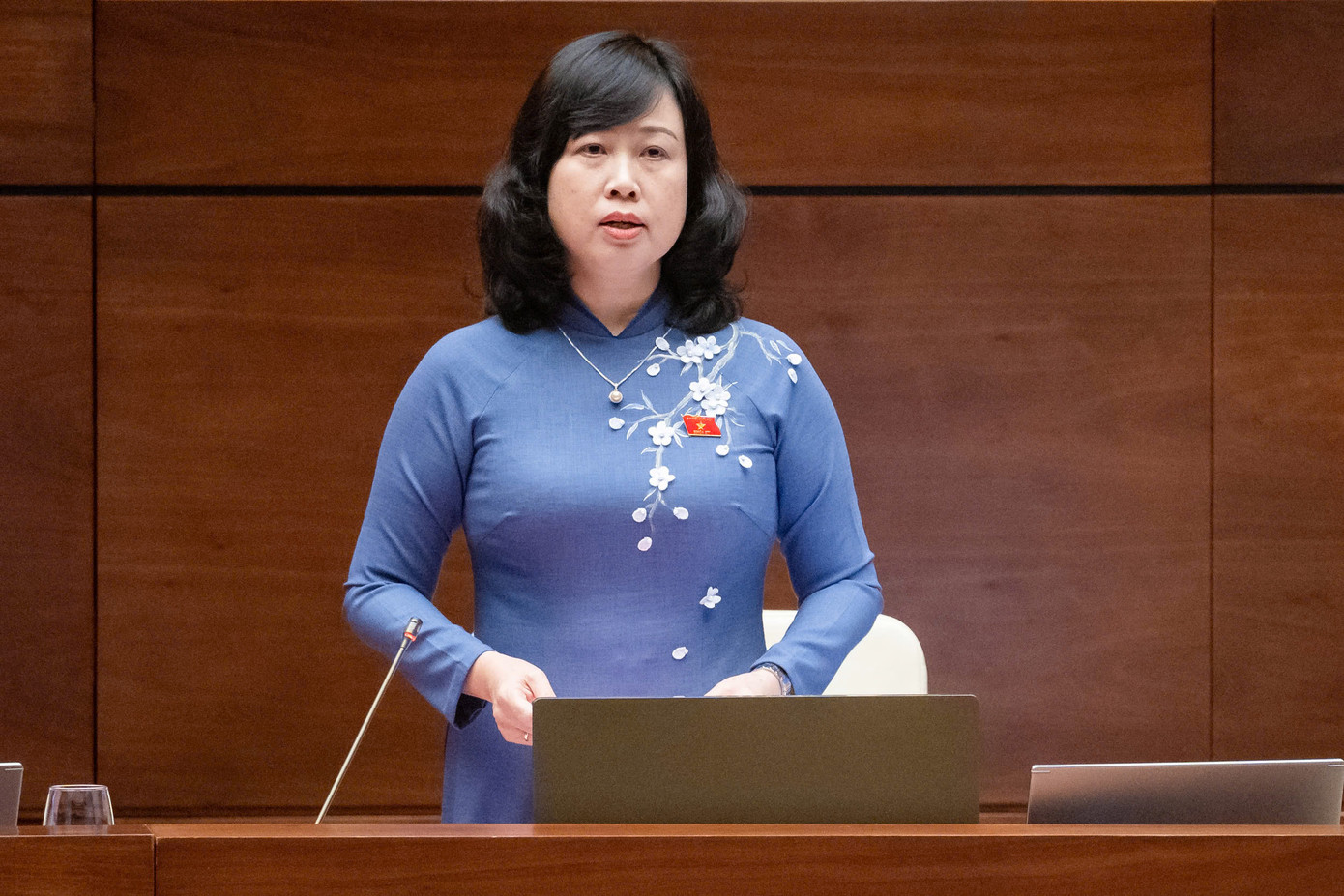 Bộ trưởng Y tế Đào Hồng Lan. Ảnh: QH