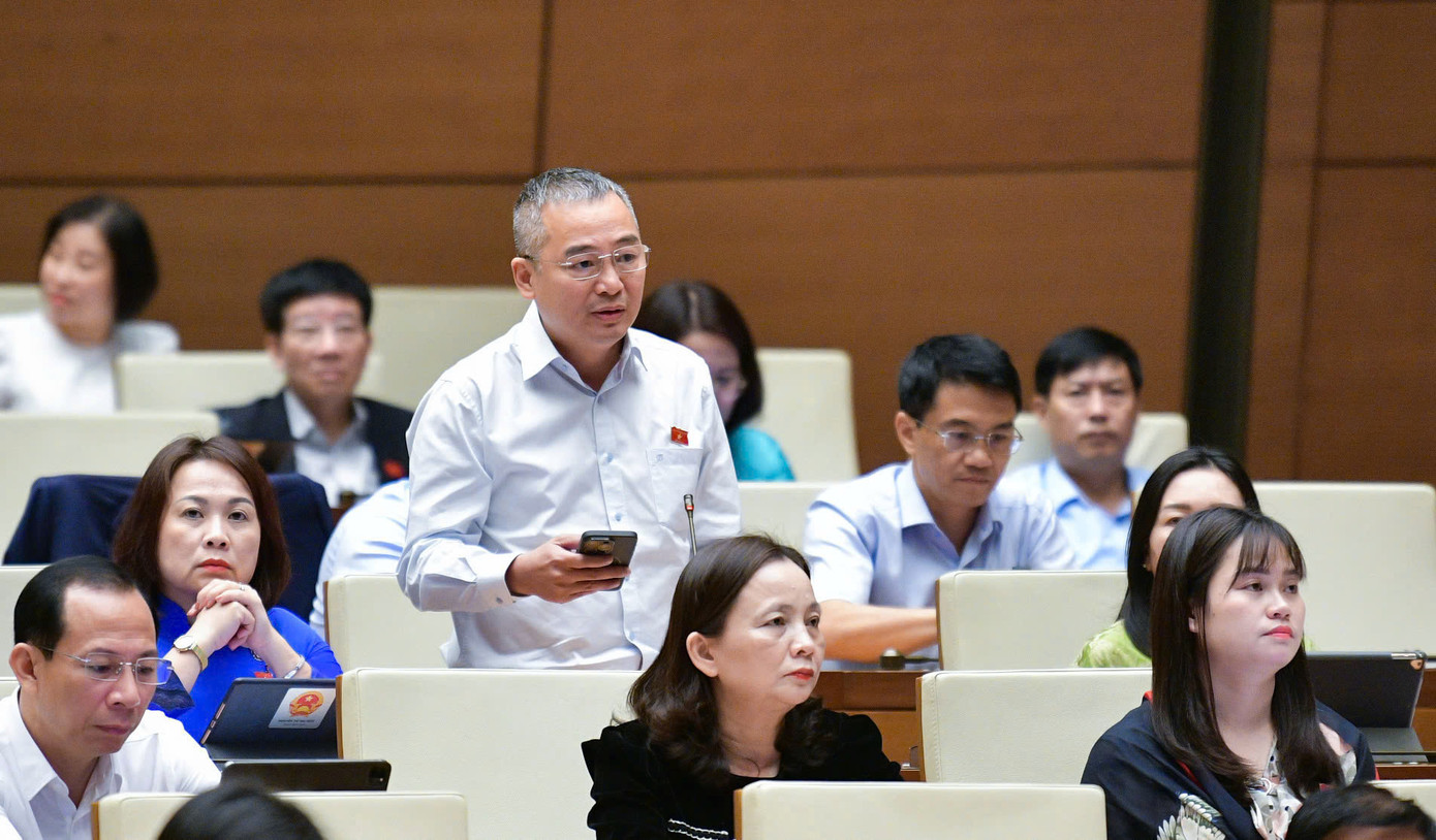 Đại biểu Nguyễn Lân Hiếu (đoàn Bình Định). Ảnh: Như Ý Đại biểu Nguyễn Lân Hiếu (đoàn Bình Định). Ảnh: Như Ý