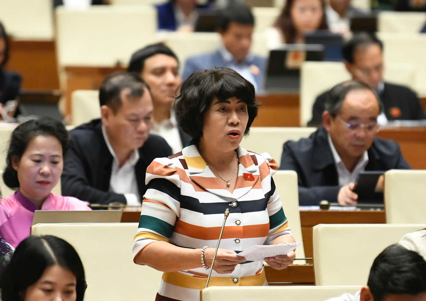 Đại biểu Nguyễn Thị Lệ Thủy (đoàn Bến Tre). Ảnh: Như Ý Đại biểu Nguyễn Thị Lệ Thủy (đoàn Bến Tre). Ảnh: Như Ý