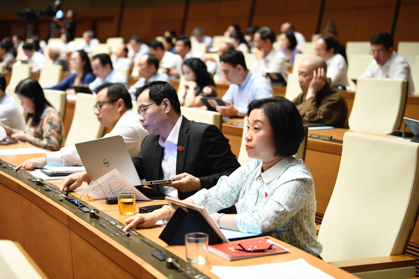 Các đại biểu biểu quyết thông qua Nghị quyết. Ảnh: Như Ý Các đại biểu biểu quyết thông qua Nghị quyết. Ảnh: Như Ý