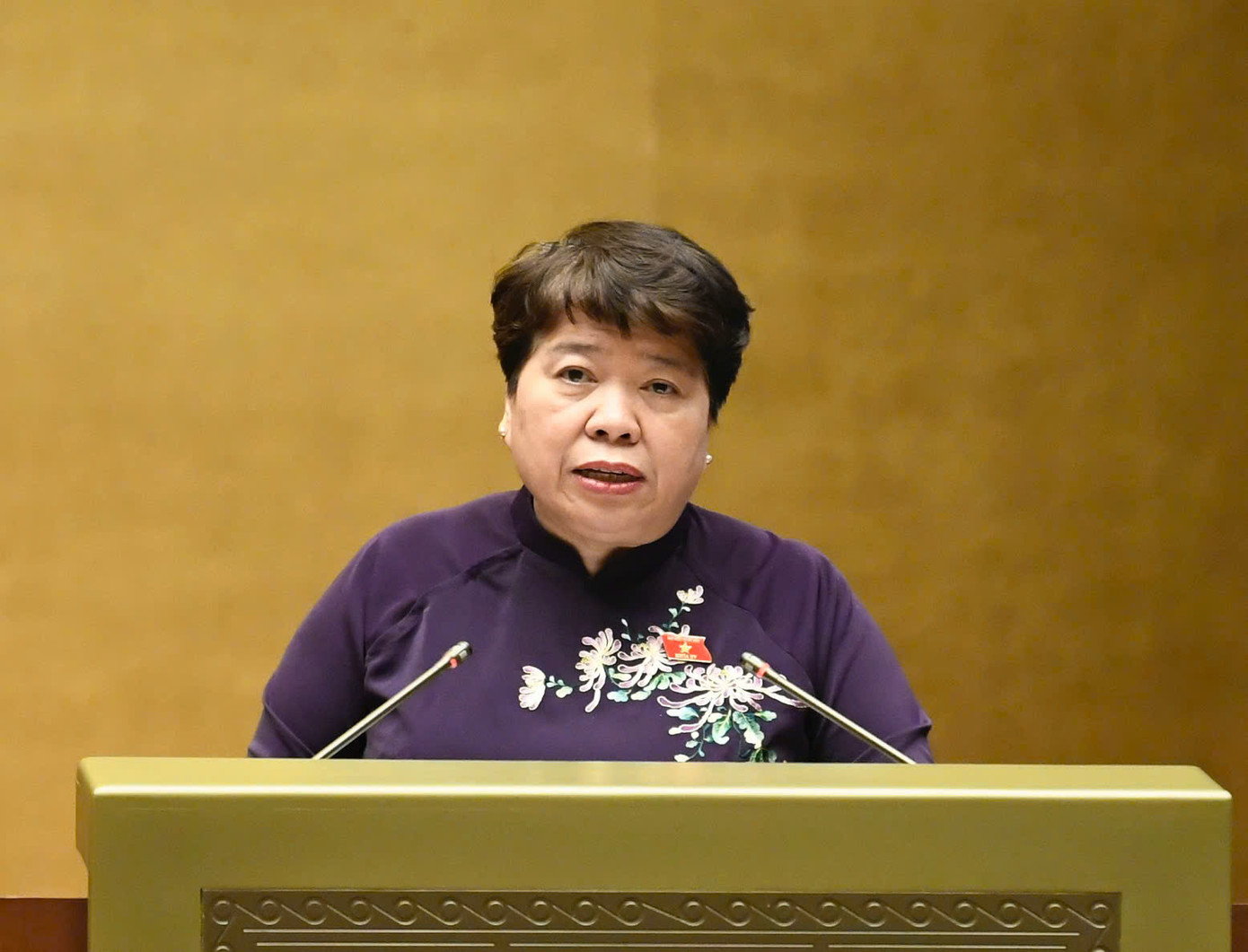 Chủ nhiệm Ủy ban Xã hội Nguyễn Thúy Anh. Ảnh: Như Ý