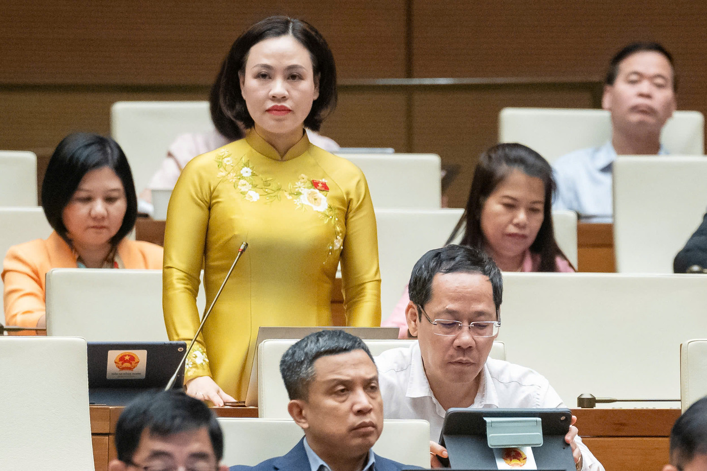 Đại biểu Trần Thị Hồng Thanh. Ảnh: Như Ý