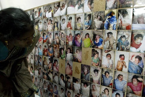 Lời tiên tri rợn người của bà Vanga về châu Âu năm 2016 ảnh 1