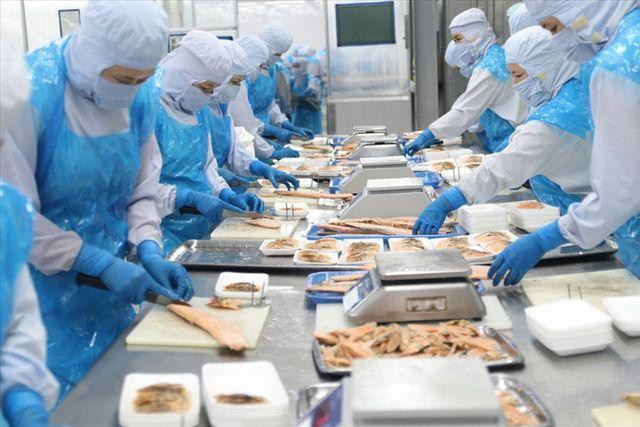 Cục Thú y cho biết, đang rà soát loại các quy định và khẳng định không có chuyện mở rộng “danh mục hàng thủy sản” phải kiểm dịch như phản ánh.