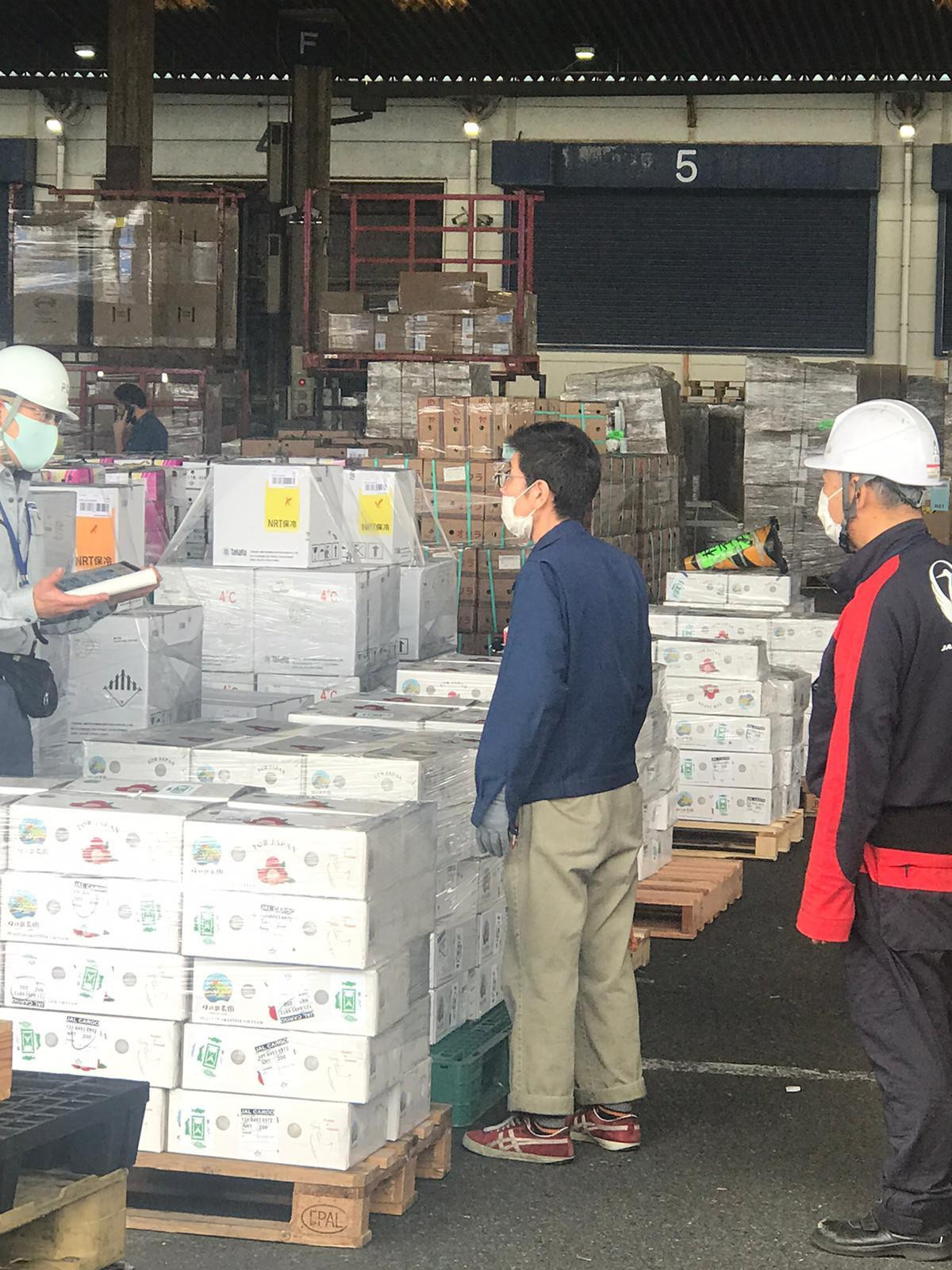 Vải thiều Hải Dương chính thức có mặt tại thị trường Nhật Bản Vải thiều Hải Dương chính thức có mặt tại thị trường Nhật Bản