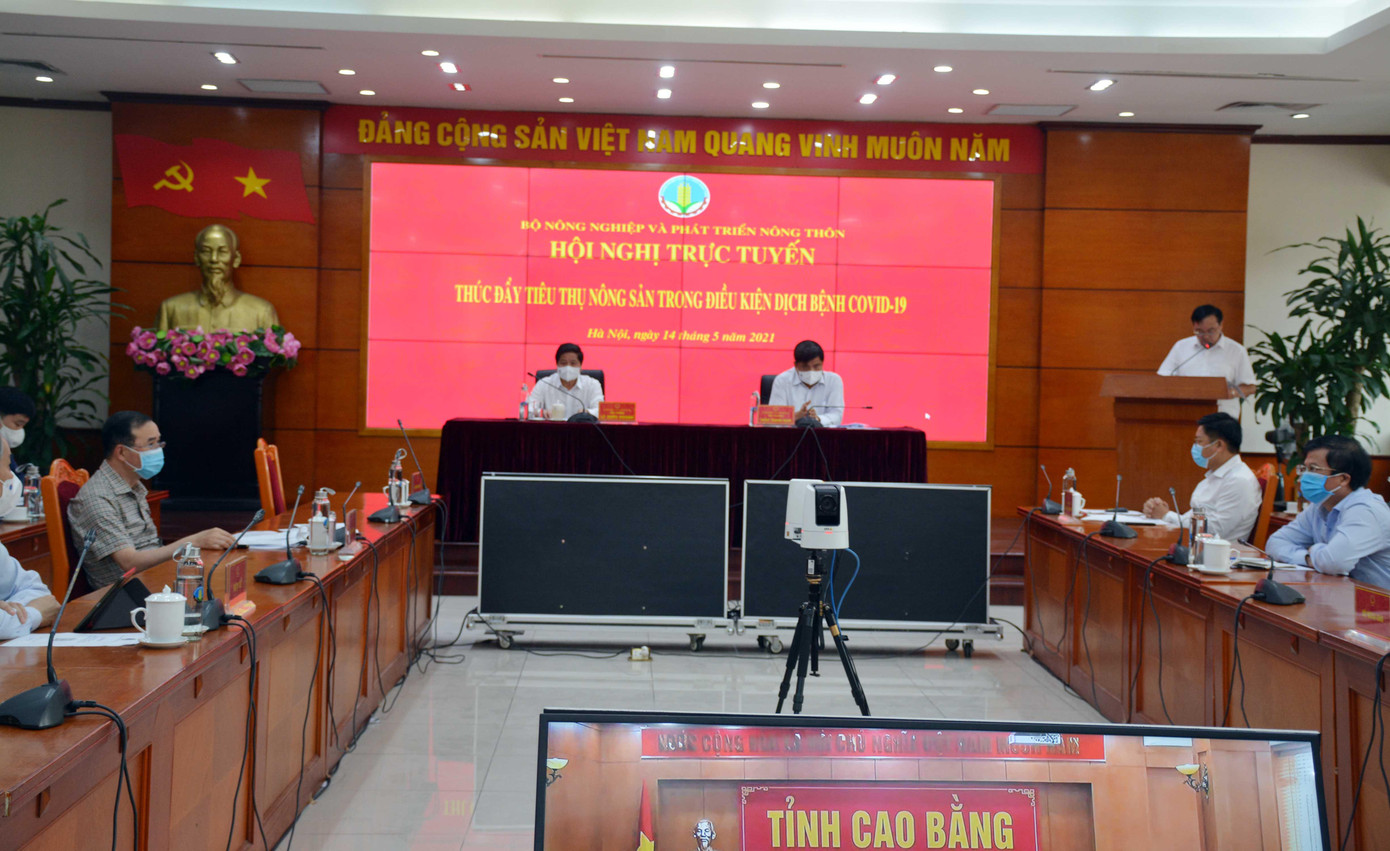 Hội nghị trực tuyến giữa Bộ NN&amp;PTNT cùng các tỉnh, thành
