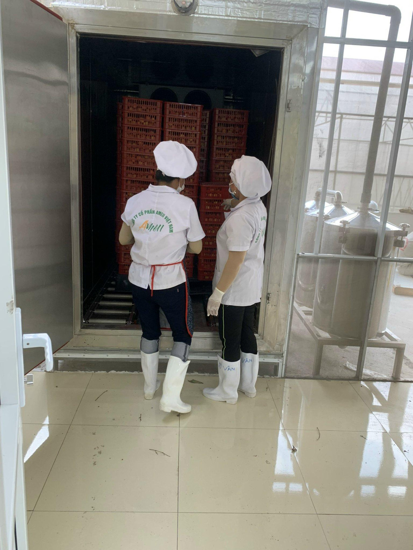 Vải khi xuất khẩu sang Nhật Bản phải được khử khuẩn kĩ lưỡng và vượt qua vòng kiểm nghiệm 800 hoạt chất thuốc bảo vệ thực vật