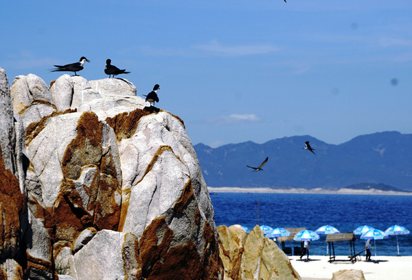 Đảo yến Hòn Nội và bãi tắm đôi có một không hai ảnh 5