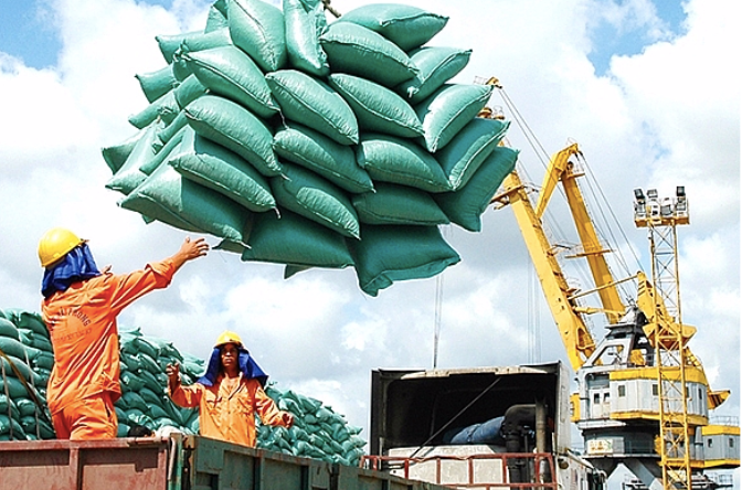 Xuất khẩu gạo của Việt Nam đạt kỷ lục trong 7 tháng đầu năm nay