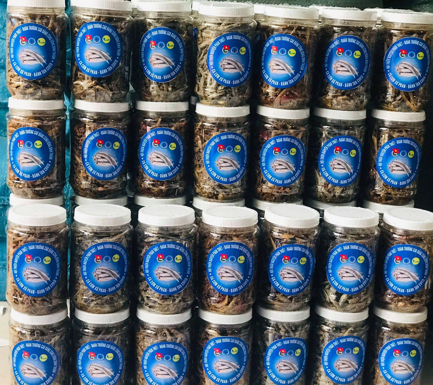 Cá cơm xứ Phan - Đánh tan COVID