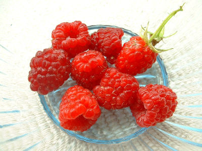 Ảnh: minh họa - Internet