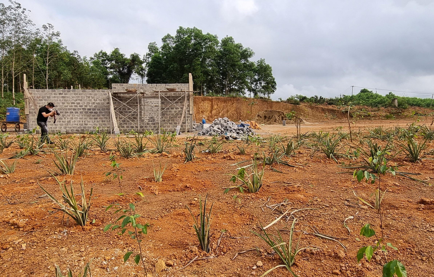 Một ngôi nhà xây dựng dang dở và trồng cây trái phép ở sát đường Hồ Chí Minh đoạn qua thôn Bến Hà, xã Linh Trường, huyện Gio Linh. Một ngôi nhà xây dựng dang dở và trồng cây trái phép ở sát đường Hồ Chí Minh đoạn qua thôn Bến Hà, xã Linh Trường, huyện Gio Linh.