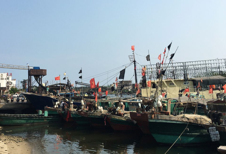 Đội tàu cá Trung Quốc ở đảo Hải Nam tháng 4/2016. (Ảnh: Reuters) Đội tàu cá Trung Quốc ở đảo Hải Nam tháng 4/2016. (Ảnh: Reuters)