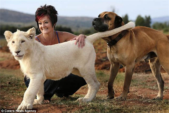 Bộ ba Annel, Timba, Diesel đi dạo cùng nhau