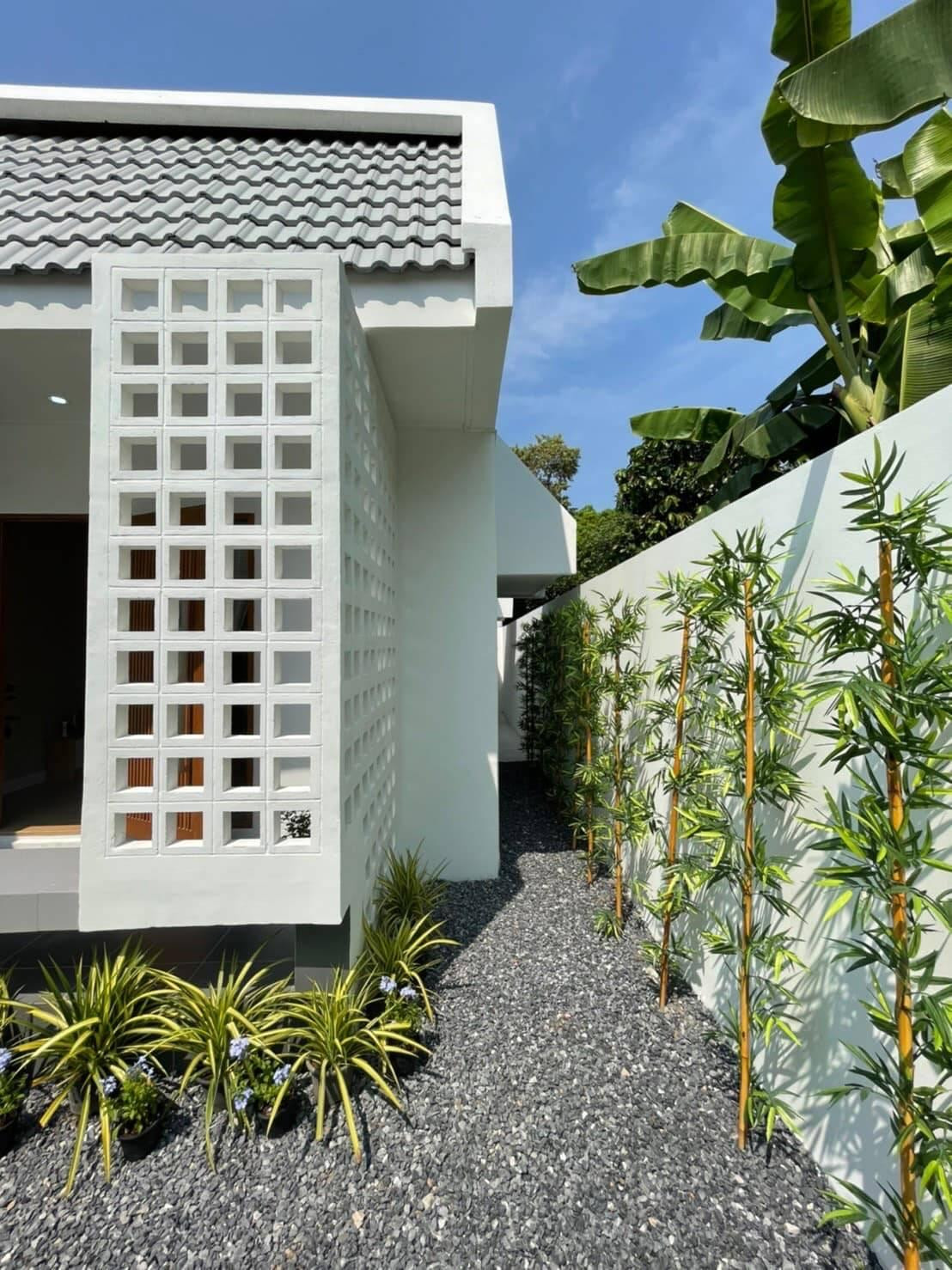 Tại khu vực tiếp giáp với tường bao quanh nhà, gia chủ cũng trồng thêm tre để tạo sự mềm mại và tăng khoảng xanh cho ngôi nhà.