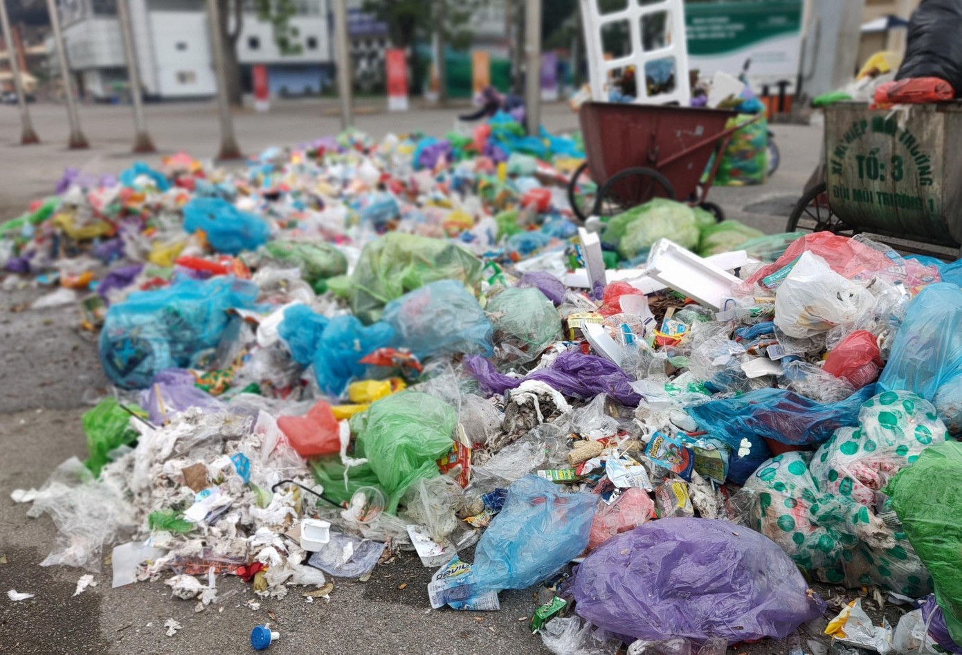 Sáng 9/5, công nhân Công ty đô thị và môi trường thành phố Việt Trì có mặt ở sân Việt Trì (tỉnh Phú Thọ) để dọn dẹp vệ sinh. Nhiều đống rác được gom lại thành cụm để xử lý, trong đó có nhiều giấy vệ sinh do các CĐV quăng xuống sân trong trận đấu giữa U23 Việt Nam và Philippines tối 8/5. Sáng 9/5, công nhân Công ty đô thị và môi trường thành phố Việt Trì có mặt ở sân Việt Trì (tỉnh Phú Thọ) để dọn dẹp vệ sinh. Nhiều đống rác được gom lại thành cụm để xử lý, trong đó có nhiều giấy vệ sinh do các CĐV quăng xuống sân trong trận đấu giữa U23 Việt Nam và Philippines tối 8/5.