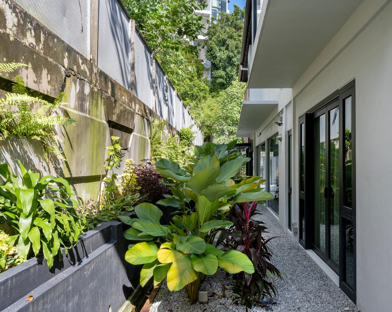Một bên hông của ngôi nhà có tường chắn cao 6m giúp mang lại sự riêng tư tốt cho người ở và có thể tạo ra một khu vườn đầy màu sắc, hòa nhập vào không gian sống bên trong nhà.