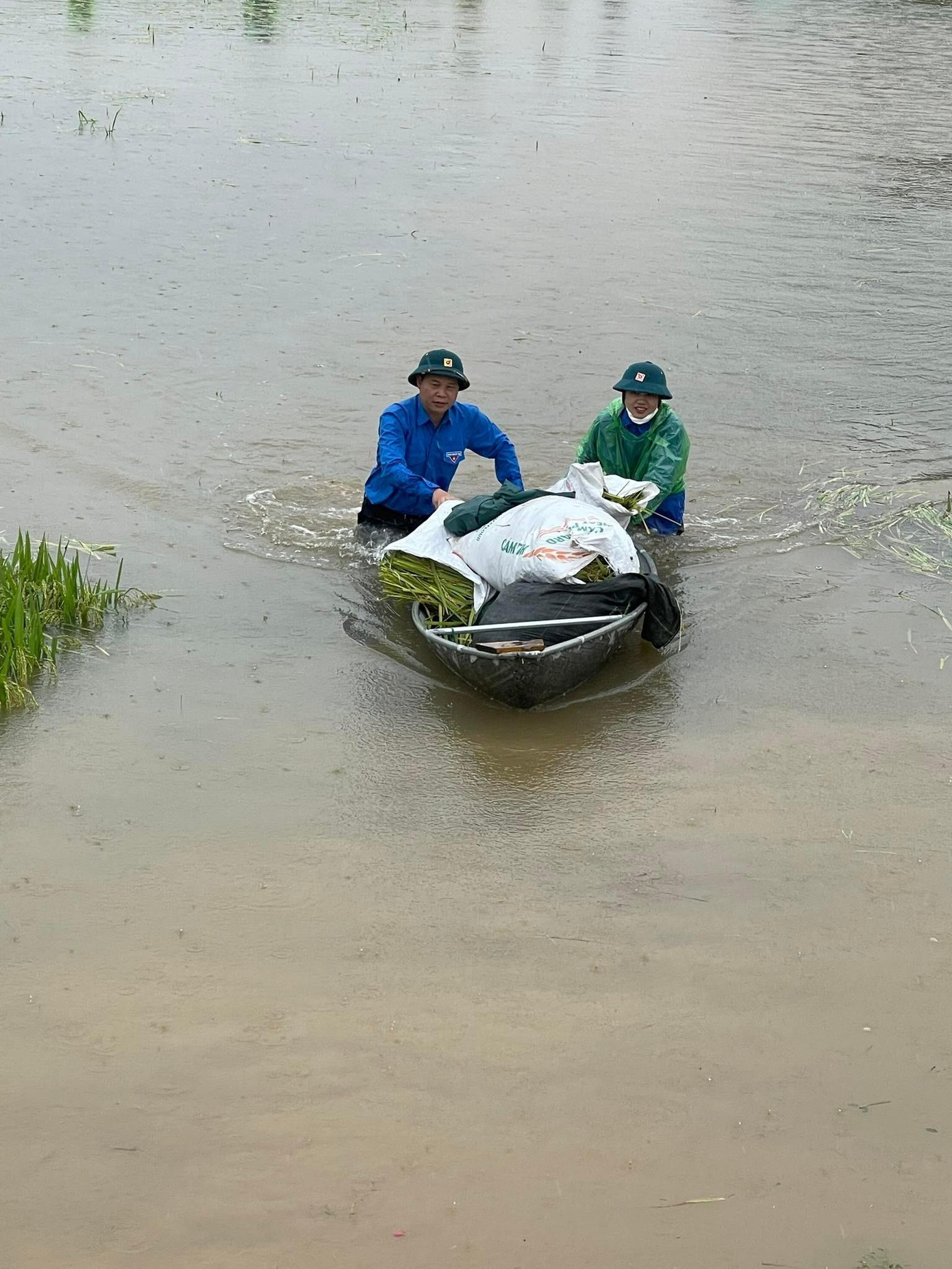 Màu áo Đoàn trong biển nước hỗ trợ nhân dân chạy lúa bị ngập.