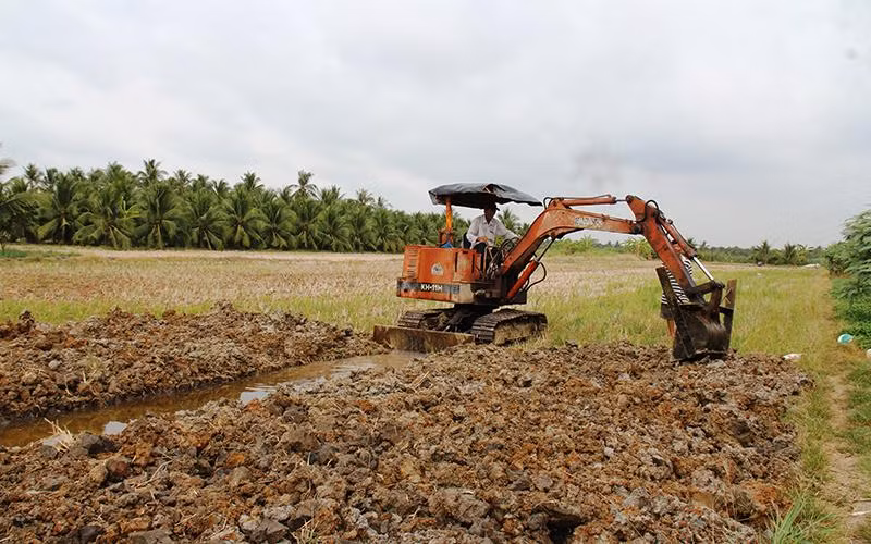 Phó Thủ tướng Chính phủ Lê Văn Thành chấp thuận chuyển mục đích sử dụng đất trồng lúa nước từ 2 vụ trở lên với quy mô dưới 500 ha; đất rừng đặc dụng, đất rừng phòng hộ đầu nguồn dưới 50 ha thuộc thẩm quyền của Thủ tướng Chính phủ ủy quyền cho HĐND 4 tỉnh, thành phố là Cần Thơ, Nghệ An, Thanh Hóa và Hải Phòng.
