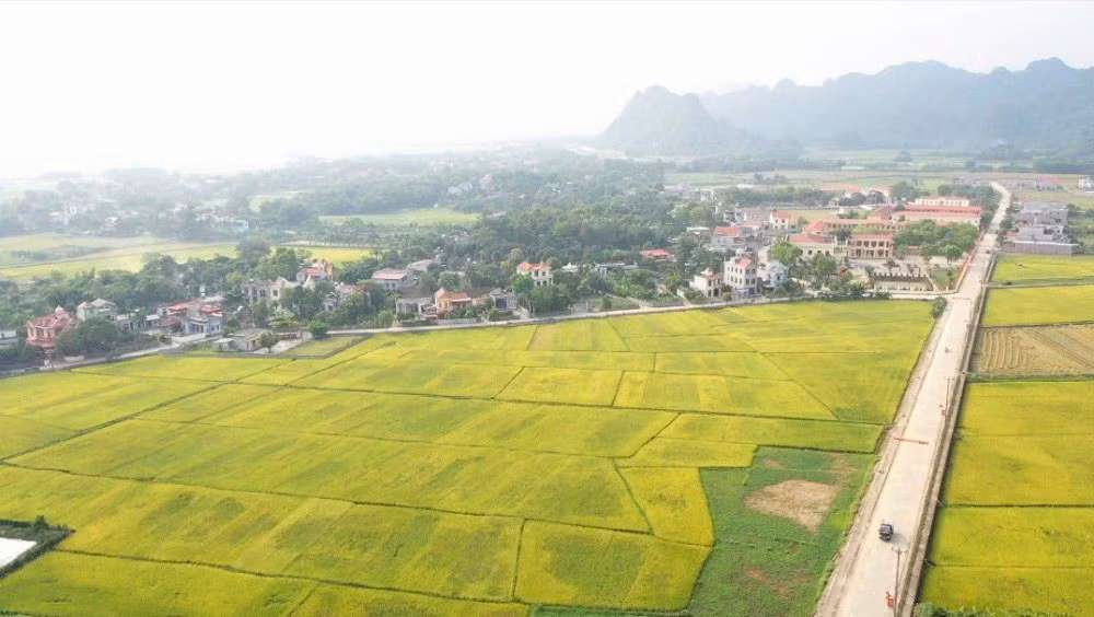 Việc cấp GCNQSDĐ ghi mục đích sử dụng đất nông nghiệp vườn, ao trong cùng thửa đất ở có thời hạn lâu dài là chưa đúng quy định.