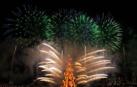 Chiều cao của cây giáng sinh này tương đương với chiều cao của tòa nhà cao 27 tầng 