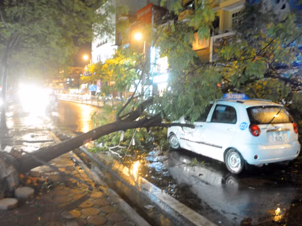 Xe taxi bị đè trên phố Chùa Bộc