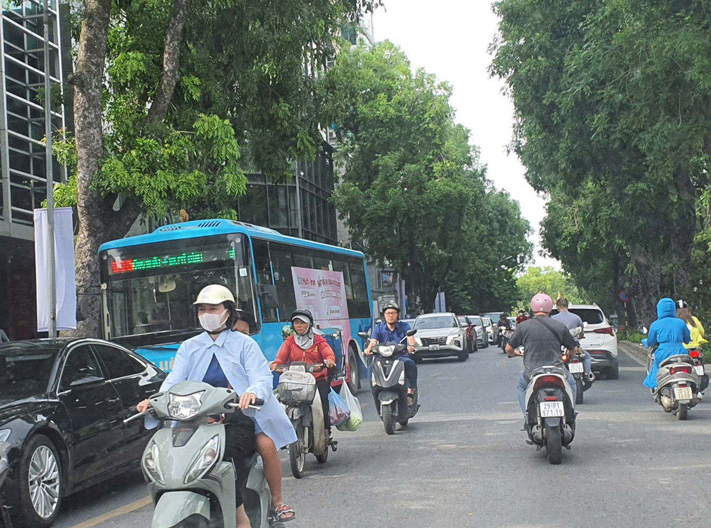 Xe buýt trên phố