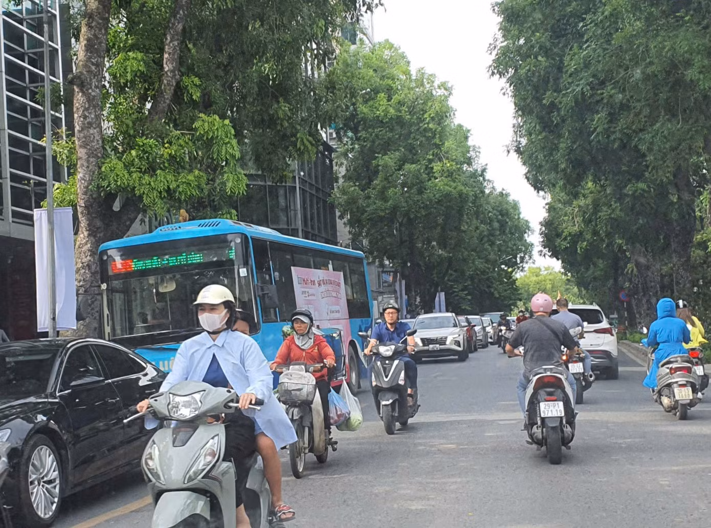Xe buýt trên phố