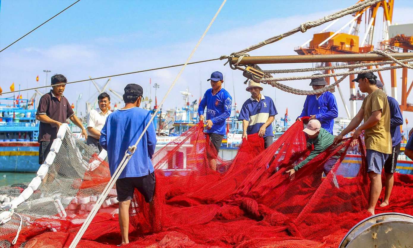 Ngư dân Bình Định chuẩn bị lưới cho chuyến vươn khơi bám biển. Ảnh: Trương Định Ngư dân Bình Định chuẩn bị lưới cho chuyến vươn khơi bám biển. Ảnh: Trương Định