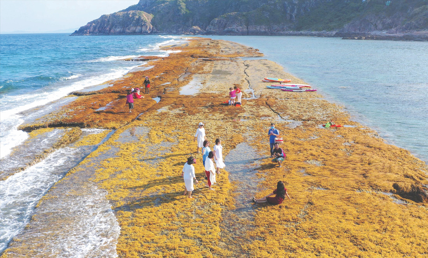 Du khách tham quan, chụp hình tại tường thành cổ Ảnh: Dũng Nhân