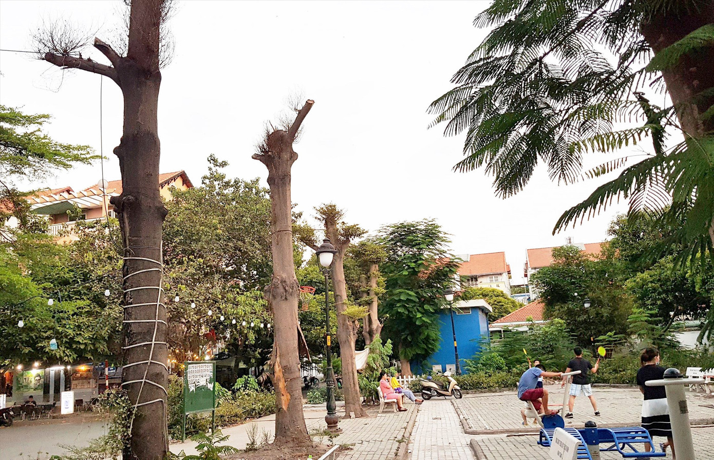 Nhiều cây xanh bị cắt ngang thân chết đứng tại khu vực công viên chung cư Đồng Diều Ảnh: VÂN SƠN Nhiều cây xanh bị cắt ngang thân chết đứng tại khu vực công viên chung cư Đồng Diều Ảnh: VÂN SƠN