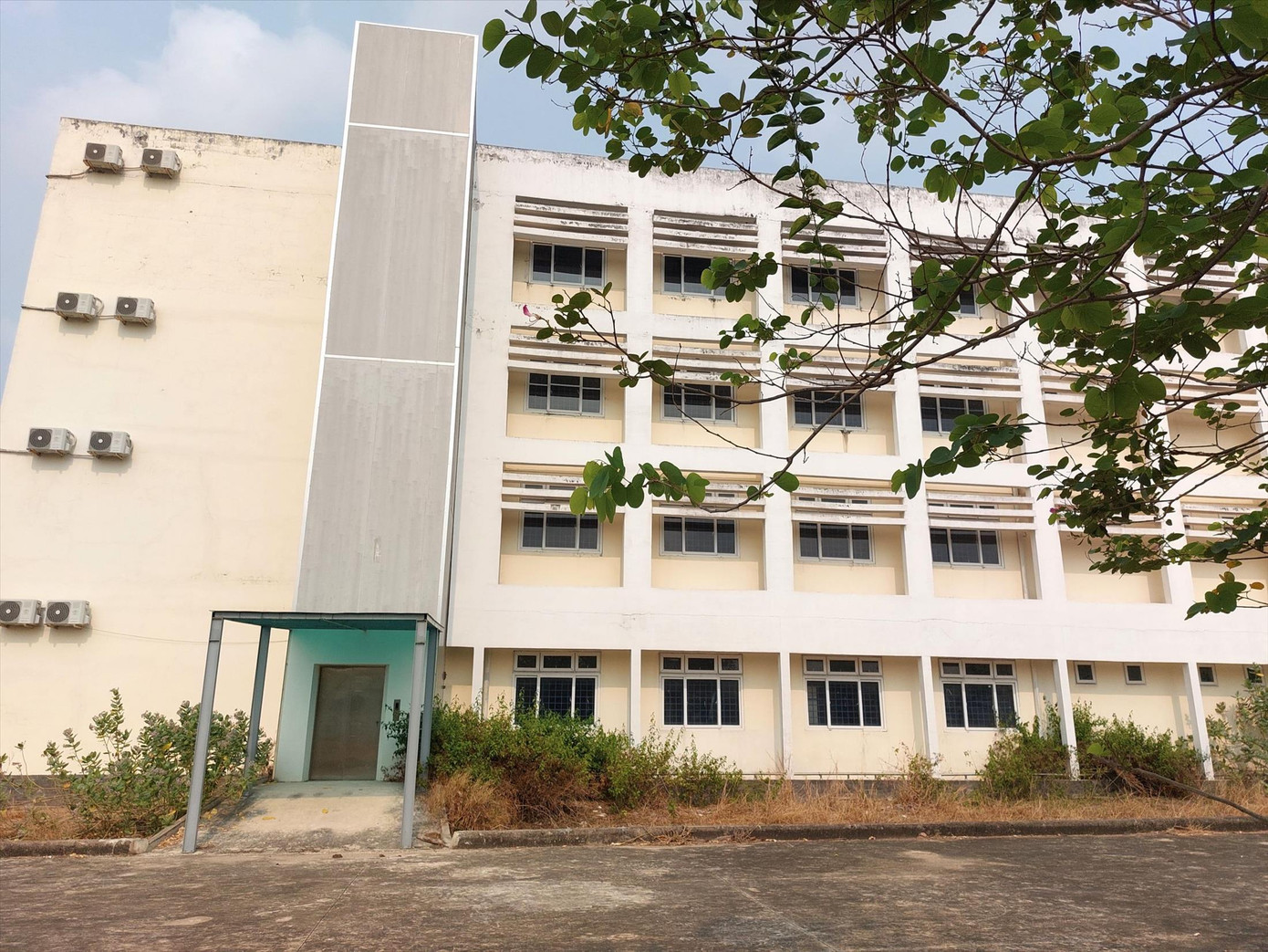 Bệnh viện Chuyên khoa Tâm Thần bỏ hoang. Ảnh: H.C Bệnh viện Chuyên khoa Tâm Thần bỏ hoang. Ảnh: H.C