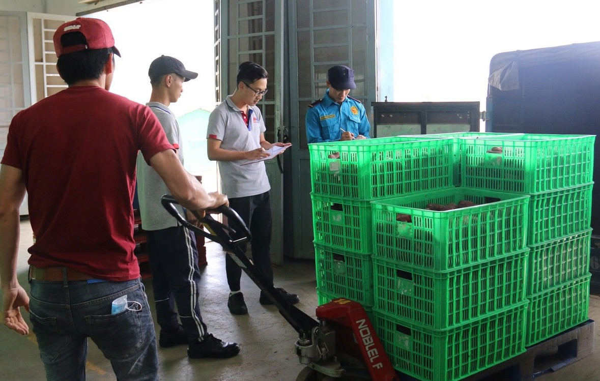 Siêu thị cấp tập vận chuyển rau từ Nam ra Bắc cho người dân bị ảnh hưởng do bão số 3 (ảnh tại MM Mega Market) Siêu thị cấp tập vận chuyển rau từ Nam ra Bắc cho người dân bị ảnh hưởng do bão số 3 (ảnh tại MM Mega Market)