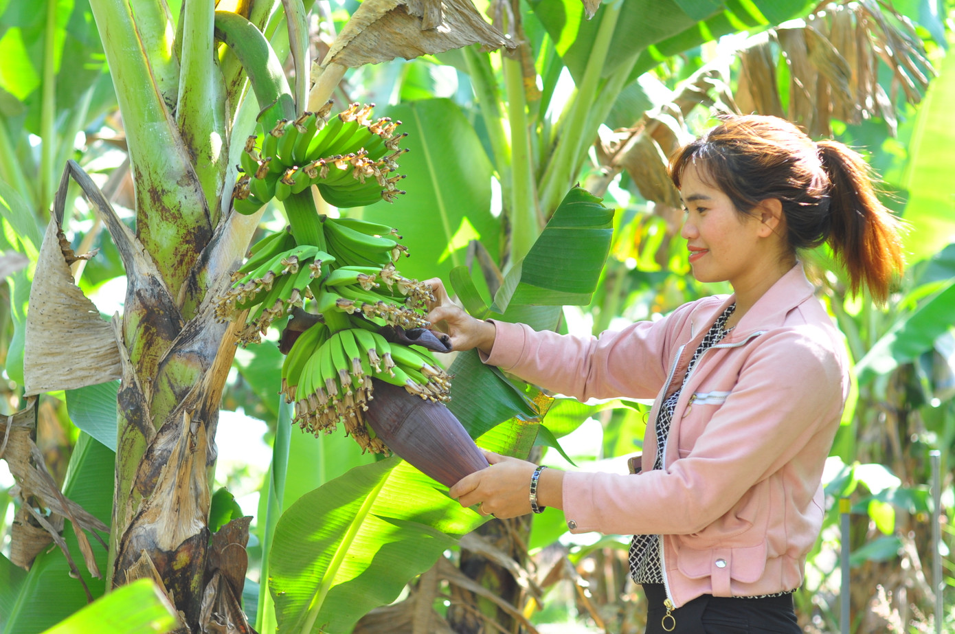 Những đặc sản của huyện nghèo được du khách yêu thích