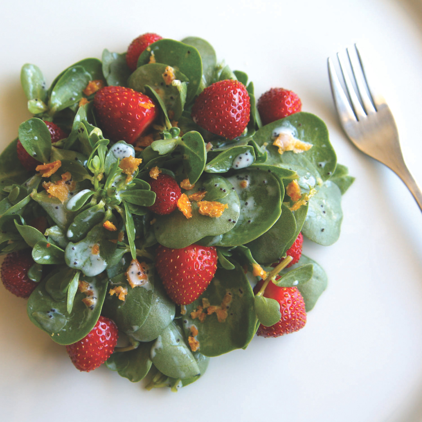 Món salad rau sam trong một nhà hàng Michelin của Mỹ Món salad rau sam trong một nhà hàng Michelin của Mỹ