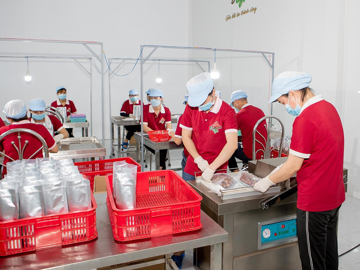 Công nhân của Cty Damaca Nguyên Phương sơ chế hạt mắc ca xuất khẩu Công nhân của Cty Damaca Nguyên Phương sơ chế hạt mắc ca xuất khẩu