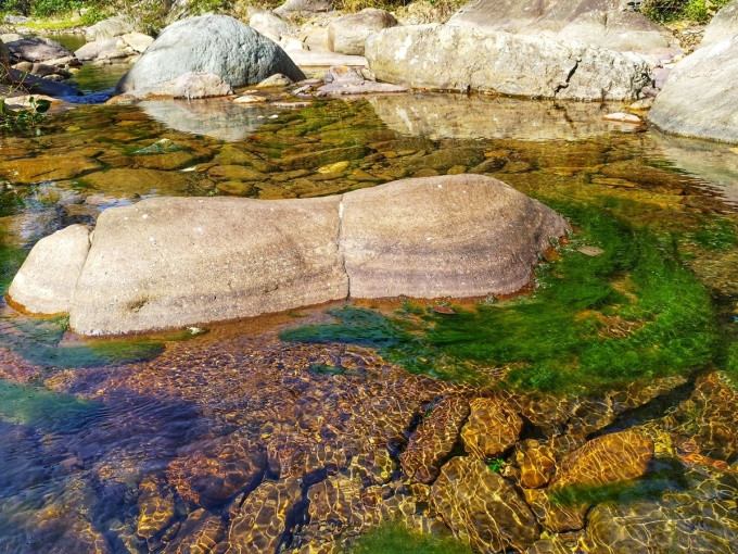 Suối có nhiều tảng đá là nơi mọc nhiều quẹ