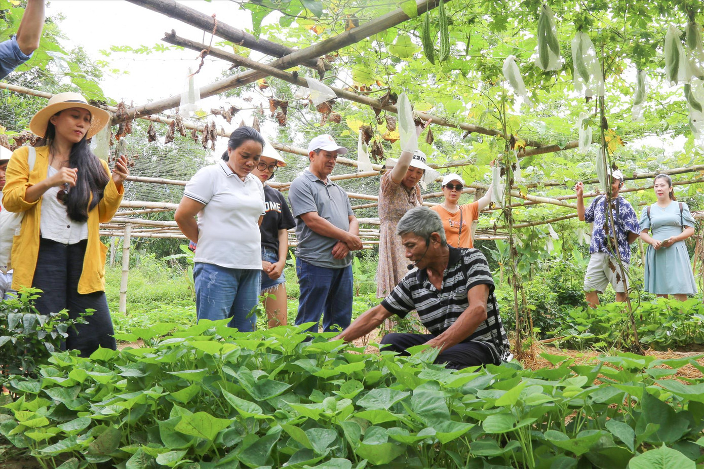 Những người nông dân chân lấm tay bùn ở Hòa Bắc không ngờ đến một ngày, vườn rau, ruộng bắp… của mình lại trở thành điểm đón khách du lịch Những người nông dân chân lấm tay bùn ở Hòa Bắc không ngờ đến một ngày, vườn rau, ruộng bắp… của mình lại trở thành điểm đón khách du lịch