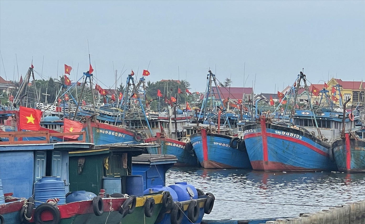 Mặt sông Roòn luôn kín đặc tàu đánh cá kể từ khi giá xăng dầu tăng cao Mặt sông Roòn luôn kín đặc tàu đánh cá kể từ khi giá xăng dầu tăng cao