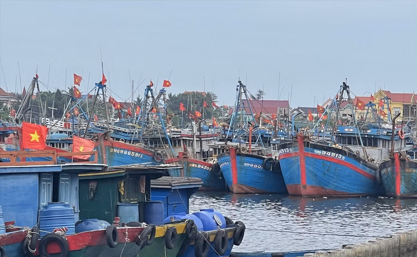 Mặt sông Roòn luôn kín đặc tàu đánh cá kể từ khi giá xăng dầu tăng cao