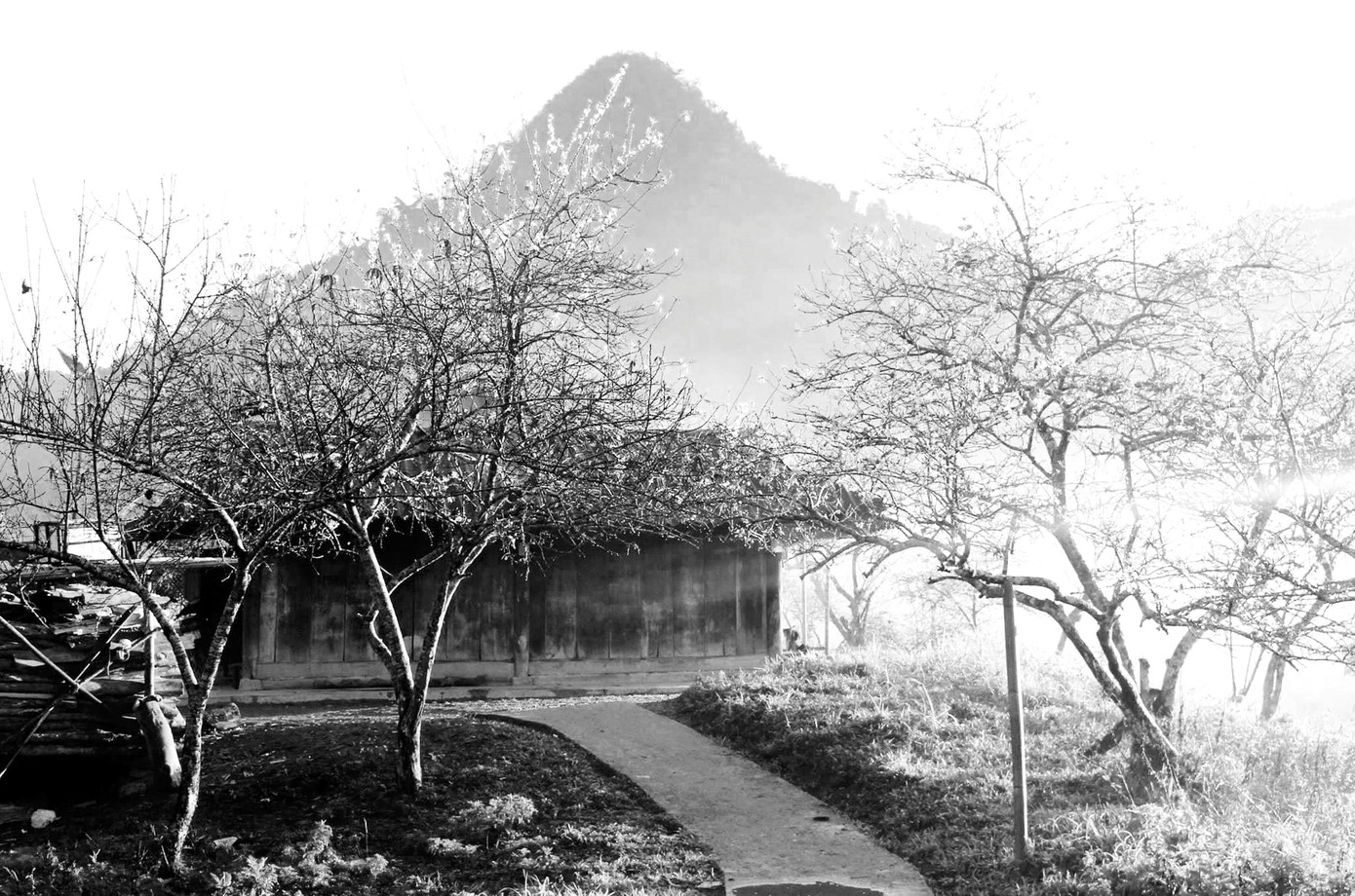 Những căn nhà gỗ người Mông lẩn khuất trong màn sương và hoa mận tạo nên khung cảnh lãng mạn