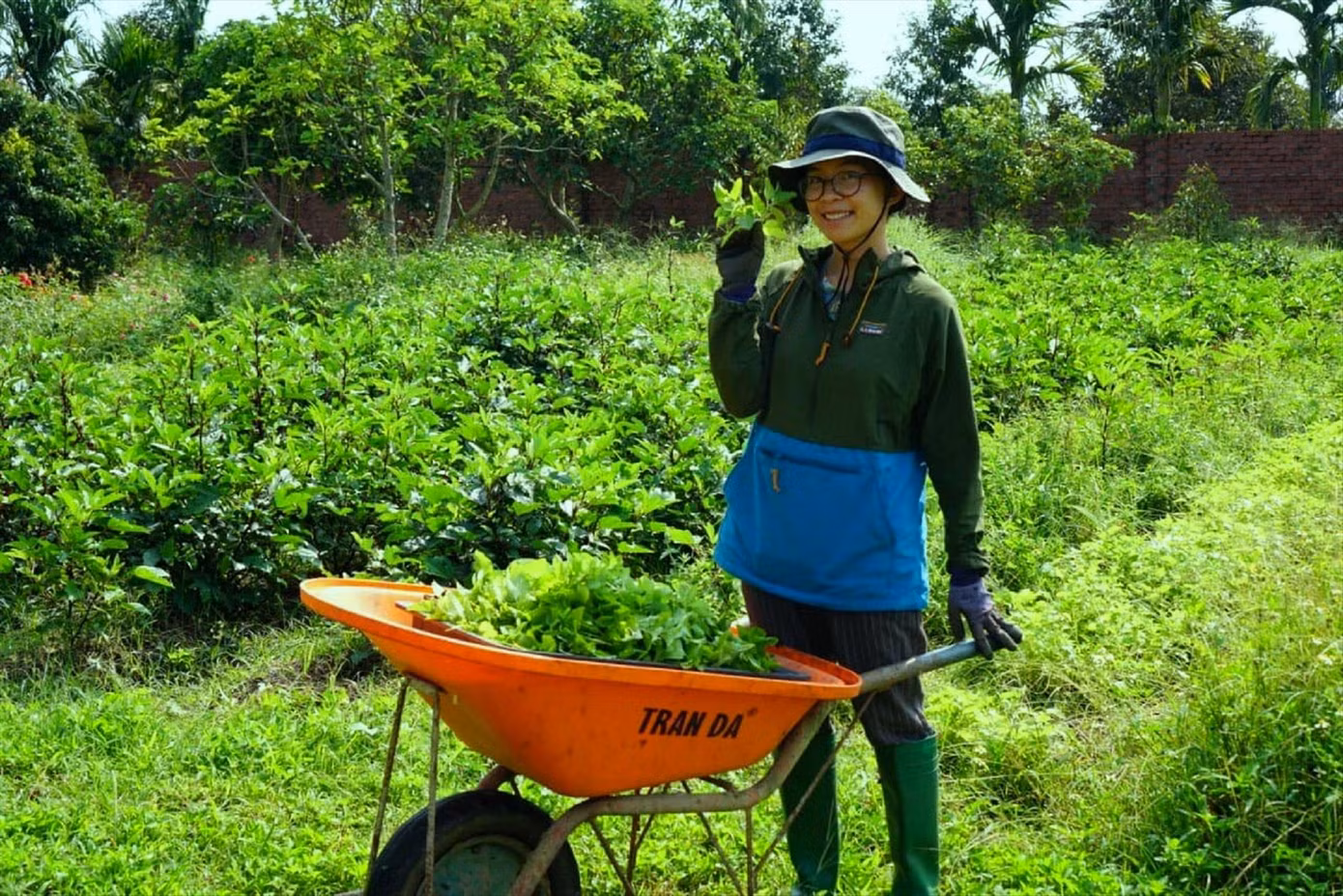 Chị Chu Thị Lan (ở xã Ea Kly, huyện Krông Pắk, Đắk Lắk) bên vườn thảo dược tại quê nhà Chị Chu Thị Lan (ở xã Ea Kly, huyện Krông Pắk, Đắk Lắk) bên vườn thảo dược tại quê nhà