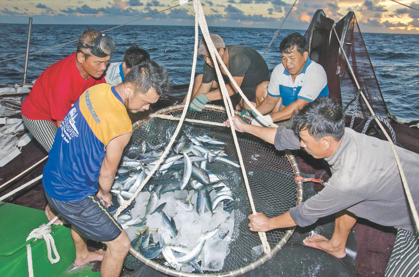 Cảnh đánh bắt giữa Hoàng Sa Ảnh: Ngư dân cung cấp Cảnh đánh bắt giữa Hoàng Sa Ảnh: Ngư dân cung cấp