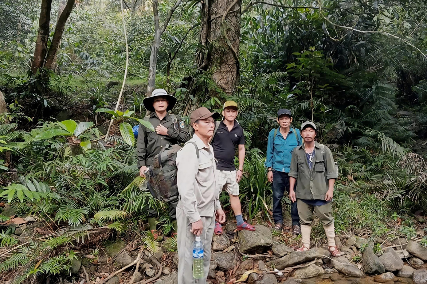 Bên cạnh trồng rừng, các chủ rừng cũng tích cực tham gia công tác bảo vệ rừng phòng hộ, rừng đặc dụng.