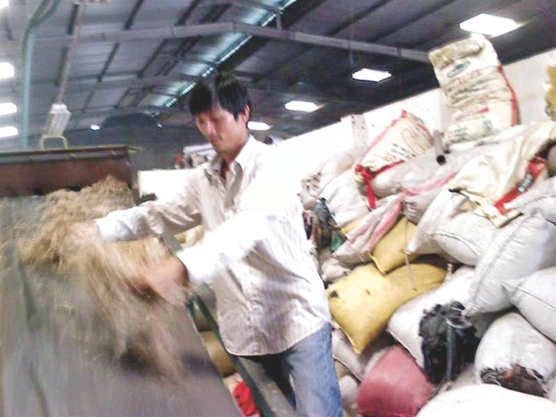 Vào vai lao động phổ thông để hiểu hơn những con người đang sống và vật lộn với mưu sinh