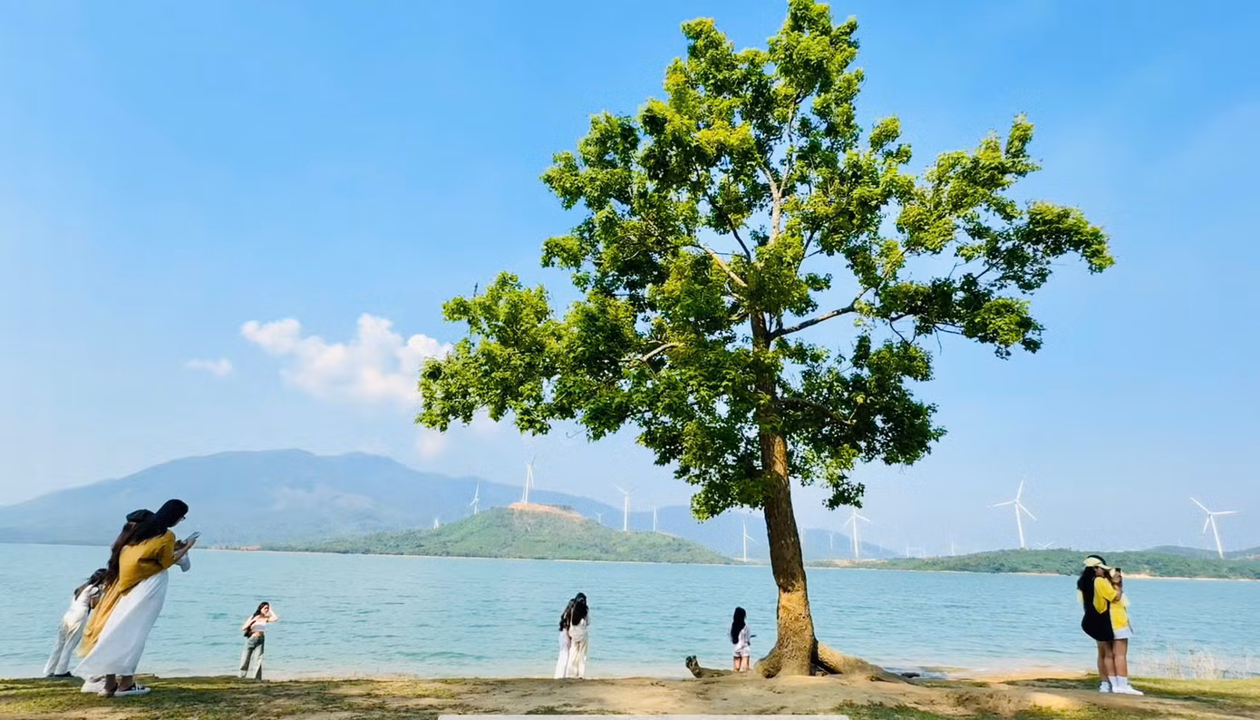 Cây cô đơn bên hồ Thủy điện Rào Quán. Ảnh: Trọng Tài