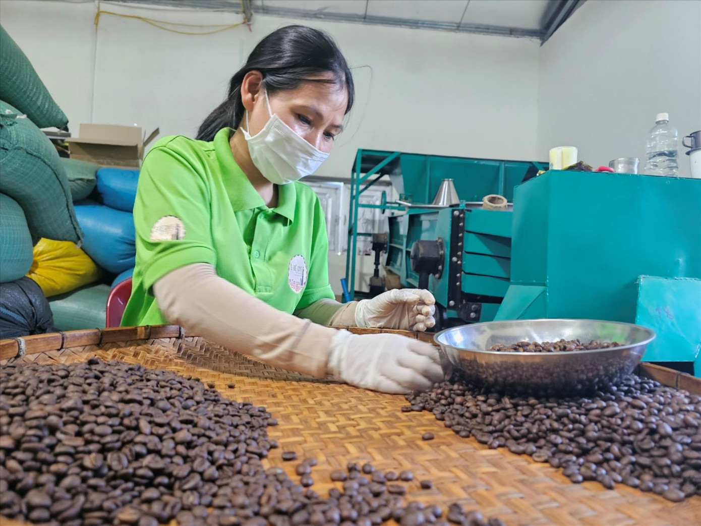 Nhân công phân loại cà phê.