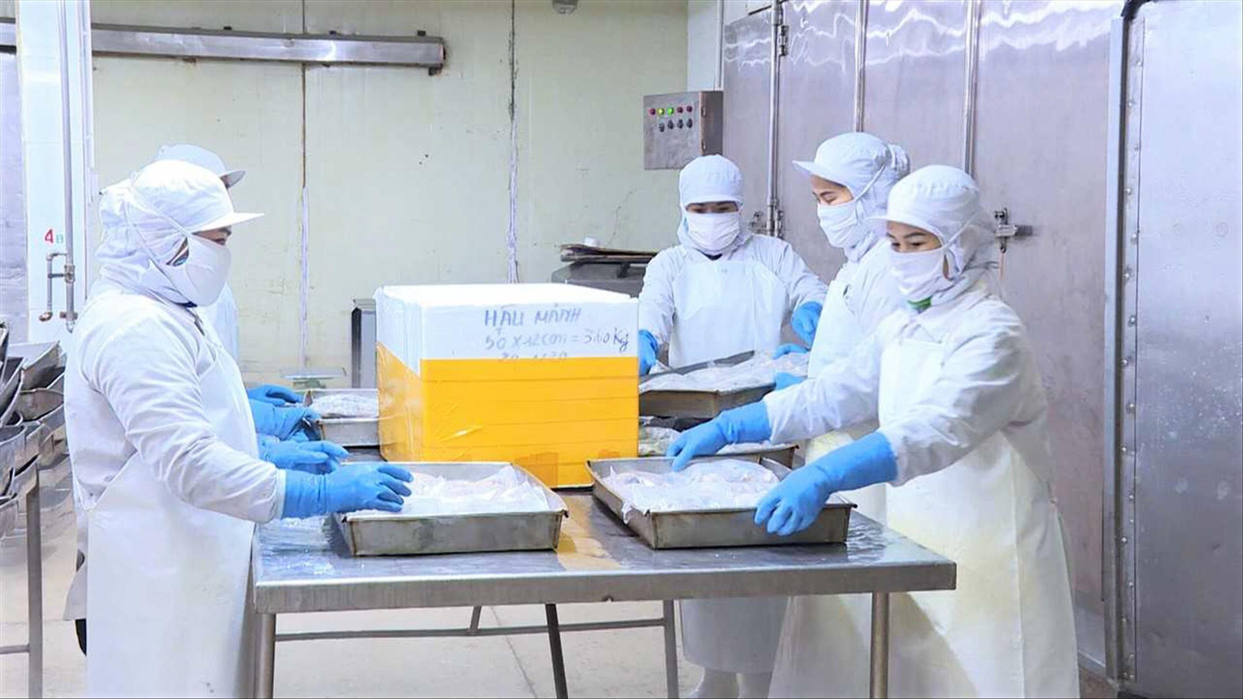 Kho lạnh trong nước tăng giá khiến DN gặp khó khăn