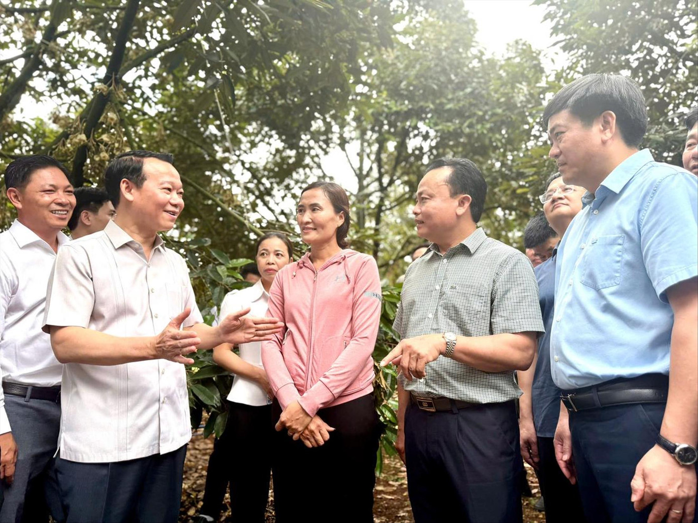 Bộ trưởng Bộ Nông nghiệp và Môi trường Đỗ Đức Duy cùng đoàn công tác đi thực địa vùng trồng sầu riêng tại huyện Krông Pắc (Đắk Lắk). Ảnh: NG Bộ trưởng Bộ Nông nghiệp và Môi trường Đỗ Đức Duy cùng đoàn công tác đi thực địa vùng trồng sầu riêng tại huyện Krông Pắc (Đắk Lắk). Ảnh: NG